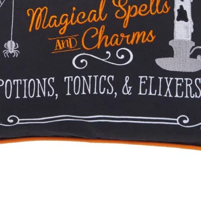 C & F Home C&f Home "apothecary Shoppe" Cotton Blend Halloween Accent Throw Pillow 18" X 18" In Multi