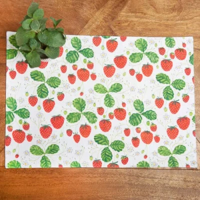 C & F Home C&f Home Strawberry Patch & Plaid Placemats Set Of 6, 14" X 20" In Multi
