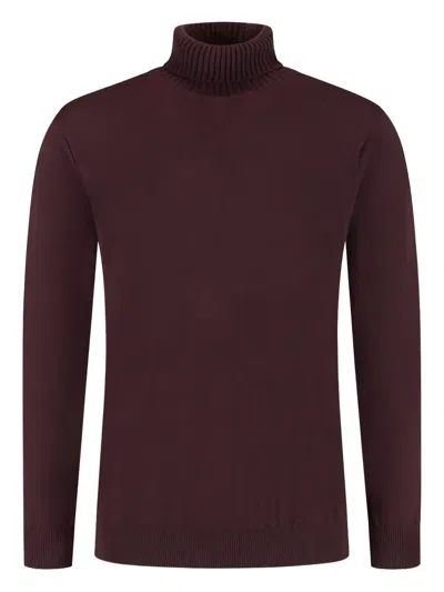 Doriani Turtleneck Sweater In Burgundy