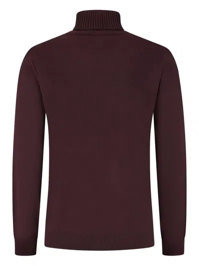 Doriani Turtleneck Sweater In Burgundy