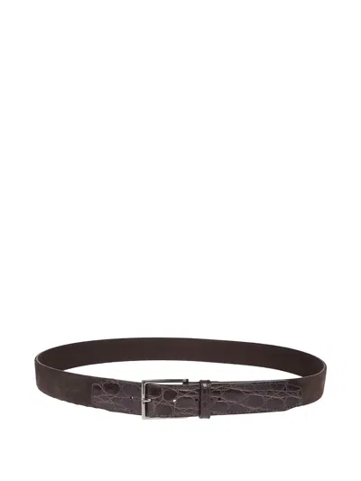 Orciani Classic Belt In Black