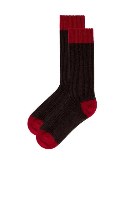 Guest In Residence ソックス In Brown