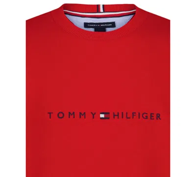 Tommy Hilfiger Boys 2t-7 Crewneck Sweatshirt In Red