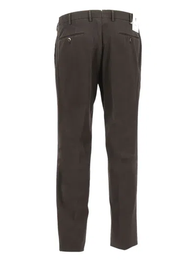 Pt Torino Belt Loop Casual Pants In Brown