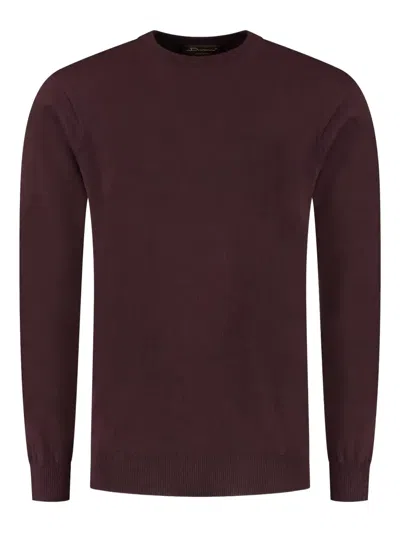Doriani Crew-neck Sweater In Purple