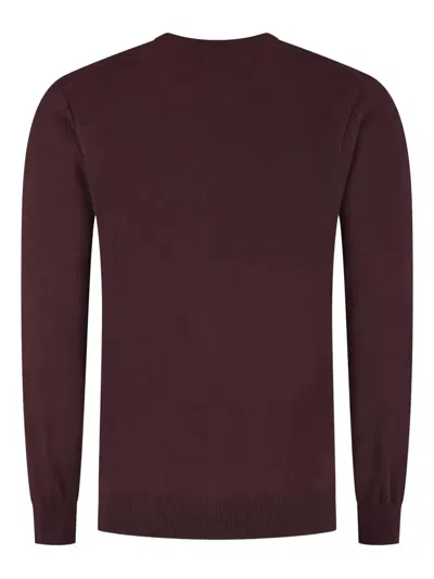 Doriani Crew-neck Sweater In Purple