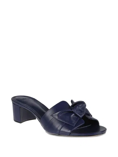 Alexandre Birman Bow-detail Block-heel Mules In Blue