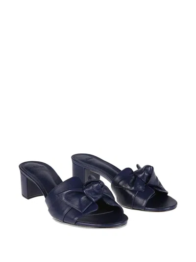 Alexandre Birman Bow-detail Block-heel Mules In Blue