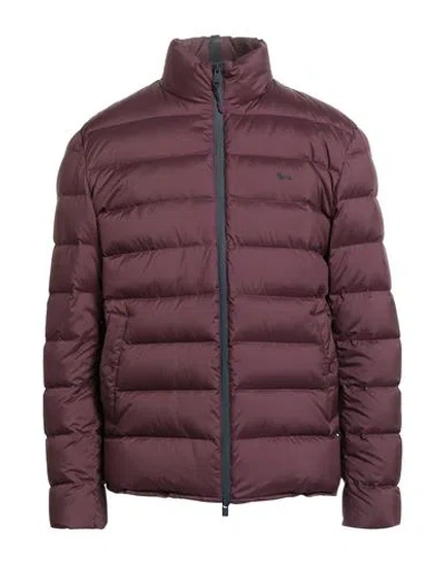 Harmont & Blaine Man Puffer Burgundy Size L Polyester In Burgundy