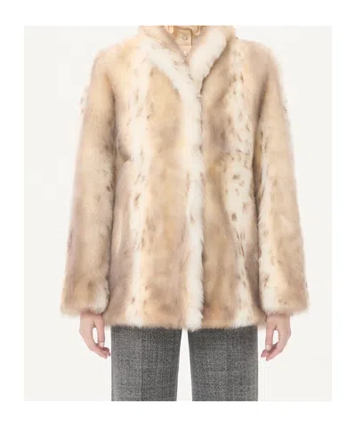 Valentino Hook Closure Long-sleeved Coat In Brown