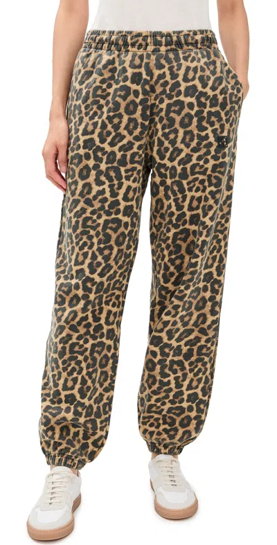 Anine Bing Karter Joggers Framed Monogram Leopard In Multi