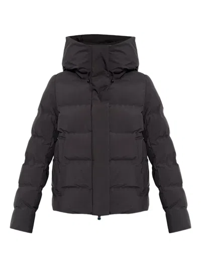 Save The Duck Hooded Quilted Jacket In Brown