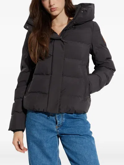 Save The Duck Hooded Quilted Jacket In Brown