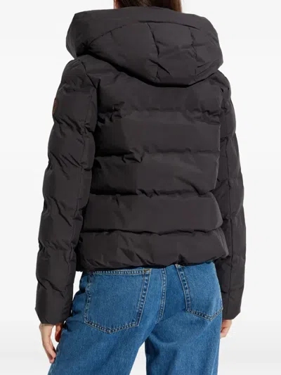 Save The Duck Hooded Quilted Jacket In Brown