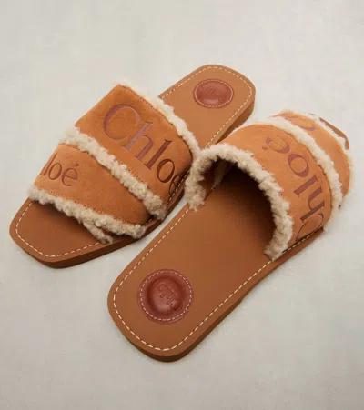 Chloé Chloe' Women Woody Sandals In Brown