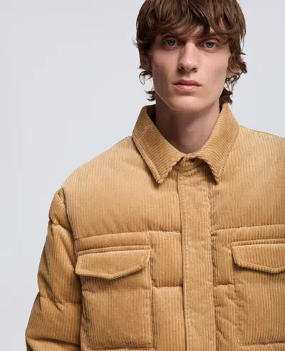 Aspesi Giubbotto Willis In Velluto A Coste - Cammello In Brown