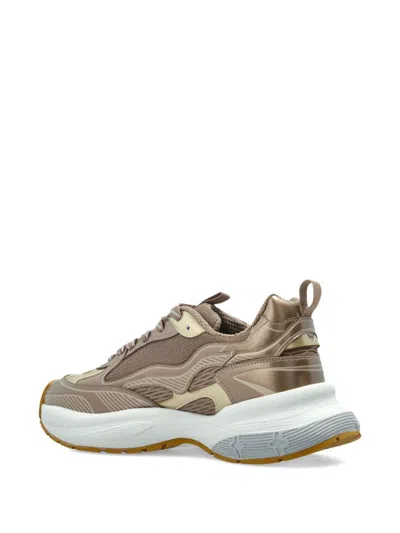 Emporio Armani Sneakers In Brown
