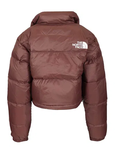 The North Face Nuptse Short Jacket Coats Brown In Burgundy
