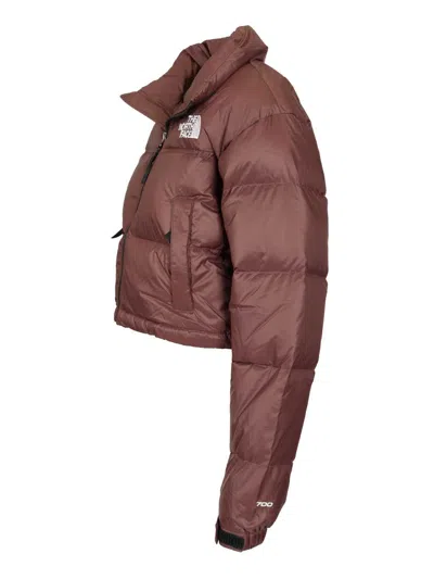 The North Face Nuptse Short Jacket Coats Brown In Burgundy