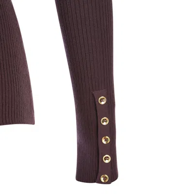Elisabetta Franchi Dark Red Knitwear In Brown