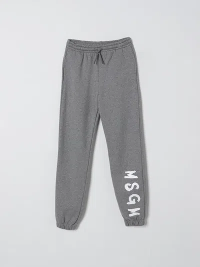 Msgm Grey Trousers For Kids With Logo In Gray