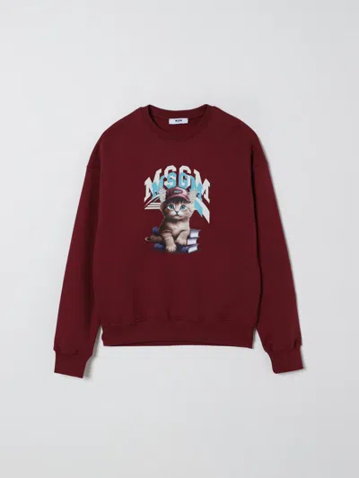 Msgm Jersey With Logo In Burgundy