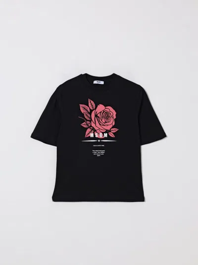 Msgm Rose-print T-shirt In Black