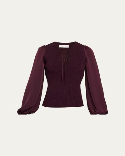 Ramy Brook Shelly Long-sleeve Blouse In Purple