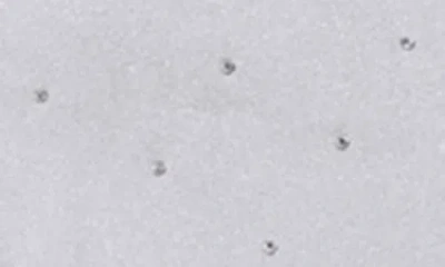 Astr The Label Sebio Crystal Embellished Button-up Shirt In Silver