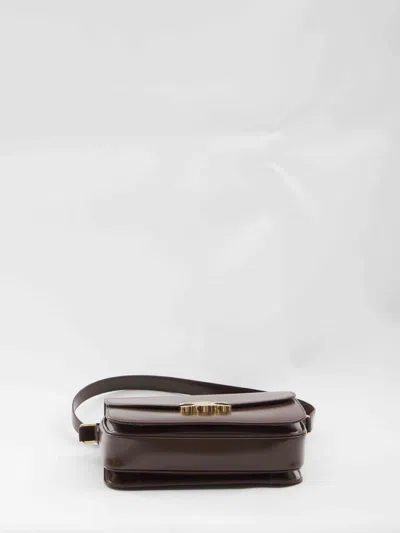 Celine Valentino Chez Valentino Cotton Hoodie In Brown