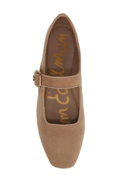 Sam Edelman Michaela Ballet Flats In Brown