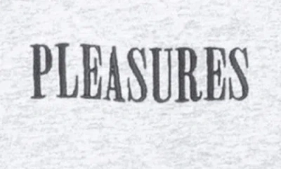 Pleasures Cut Here Heavyweight Graphic T-shirt In Gray