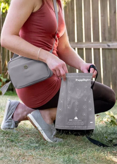 Puppington Walk Star Kit 3-in-1 Dog Walk Bag, Bowl, & Leash Plus Matching 90 Refill Dog Poop Bags In Gray