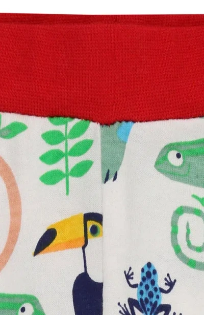 Lilly + Sid Organic Cotton Animal Safari And Stripe Print Leggings In Multi