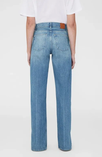 Anine Bing Roy Jean In Blue