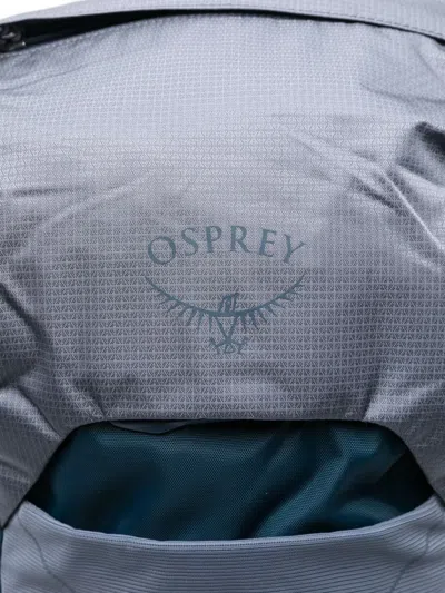 Osprey Panelled Backpack In Blue