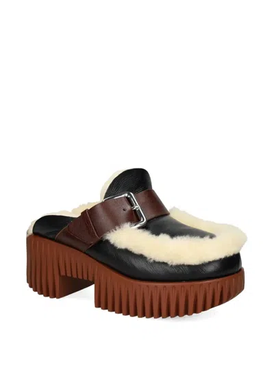 4ccccees Plia Amber Genuine Shearling Platform Clog In Black