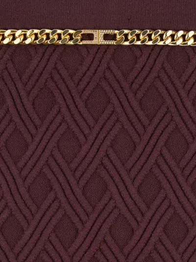 Elisabetta Franchi Diamond Knit Skirt With Merlot Jewel Detail In Brown