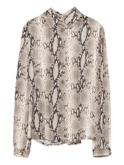 Robert Friedman Snakeskin-print Button-up Shirt In Brown