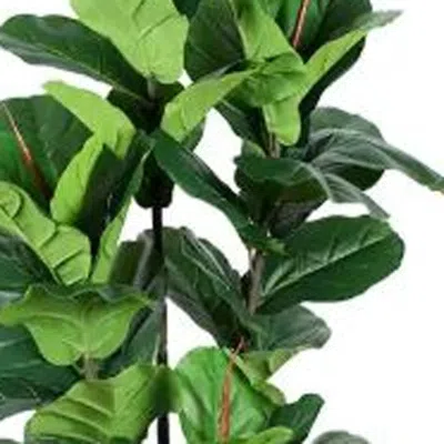 Hivvago 46" Green Fiddle Leaf Artificial Tree In A Black Pot In Green