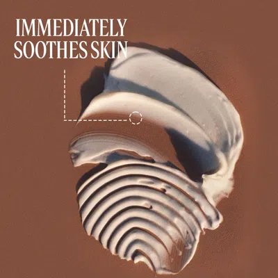 L'occitane - Shea Butter Zesty Lime Hand Cream 5.1 Fl oz In Multi