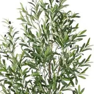 Hivvago 37" Green Olive Artificial Tree In A White Pot In Green