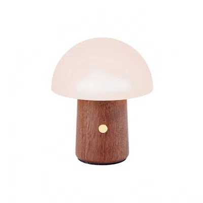 Gingko Design Mini Alice Mushroom Lamp In Walnut