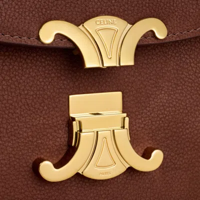 Celine Medium Nino Bag In Grained Nubuck Calfskin In Brown