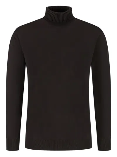 Doriani Turtleneck Sweater In Brown