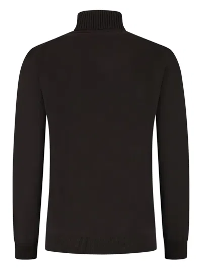 Doriani Turtleneck Sweater In Brown