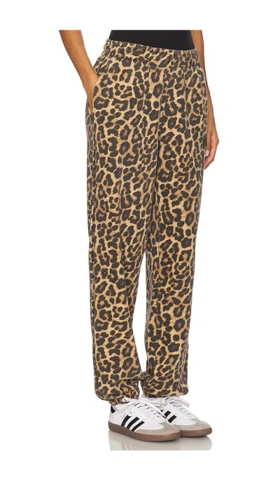 Anine Bing Karter Joggers Framed Monogram Leopard In Multi