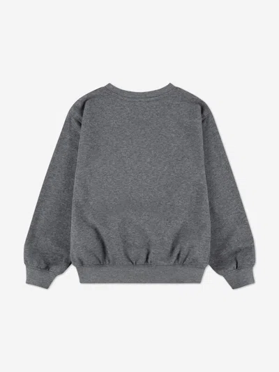 Jordan Kids Mj Brooklyn Sweatshirt In Gray