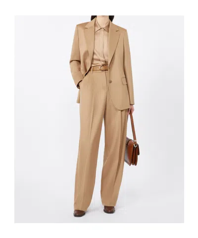 Max Mara Studio Folgore Single-breasted Blazer In Brown