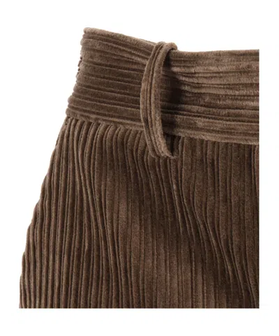 P.a.r.o.s.h Parosh Corduroy Shorts In Brown